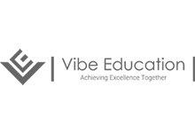vibe edu